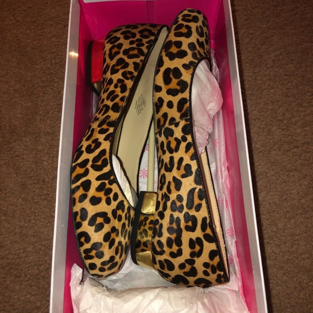 Cheetah flats